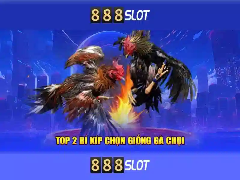 Khám Phá Sảnh Chơi Slot Đa Dạng