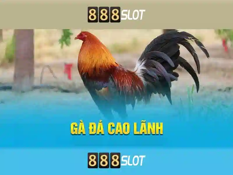 Hướng Dẫn Chơi Slot Tại 888SLOT