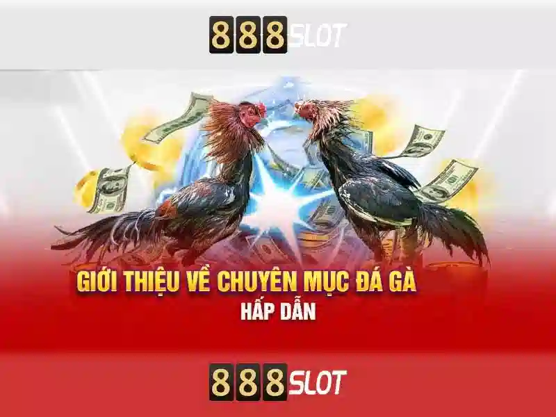 Đặc Điểm Nổi Bật