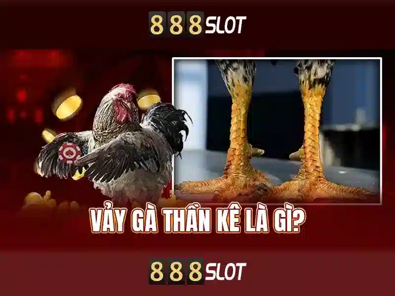 888SLOT - Trải Nghiệm Cá Cược Slot Đa Dạng, Ưu Đãi Hấp Dẫn 2026