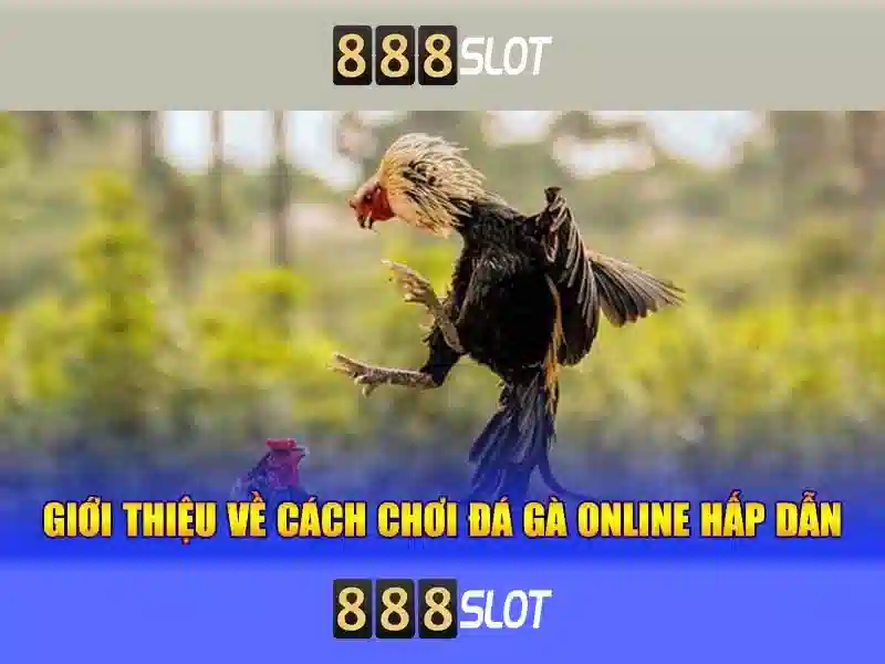 Ưu Đãi 888slot