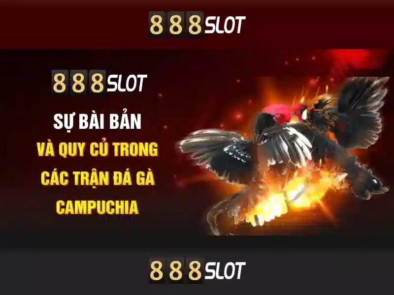 Tỷ Lệ Thắng Cao 2026