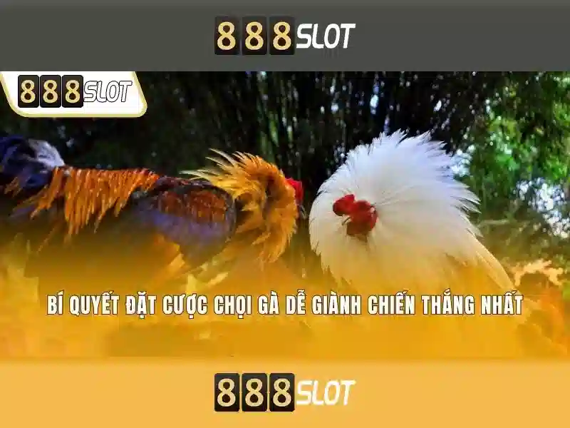 888SLOT – Trang Chủ 888slot Com | Hướng Dẫn Đăng Ký, Nạp Tiền, Rút Tiền 2026