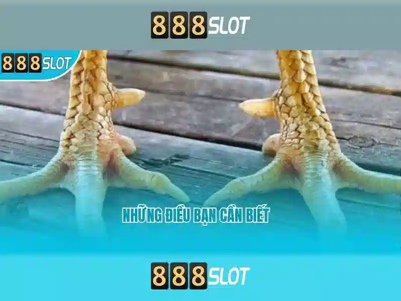 Lưu Ý Khi Đăng Nhập