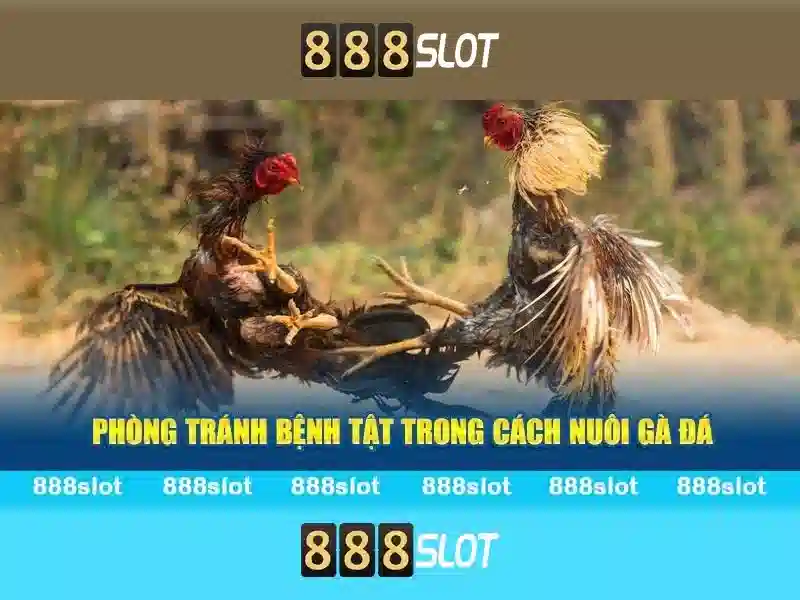 tính năng slot 2026