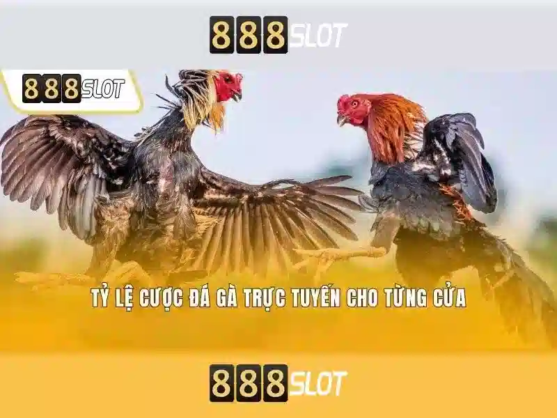 Ưu Đãi Đặc Biệt Cho Thành Viên Mới