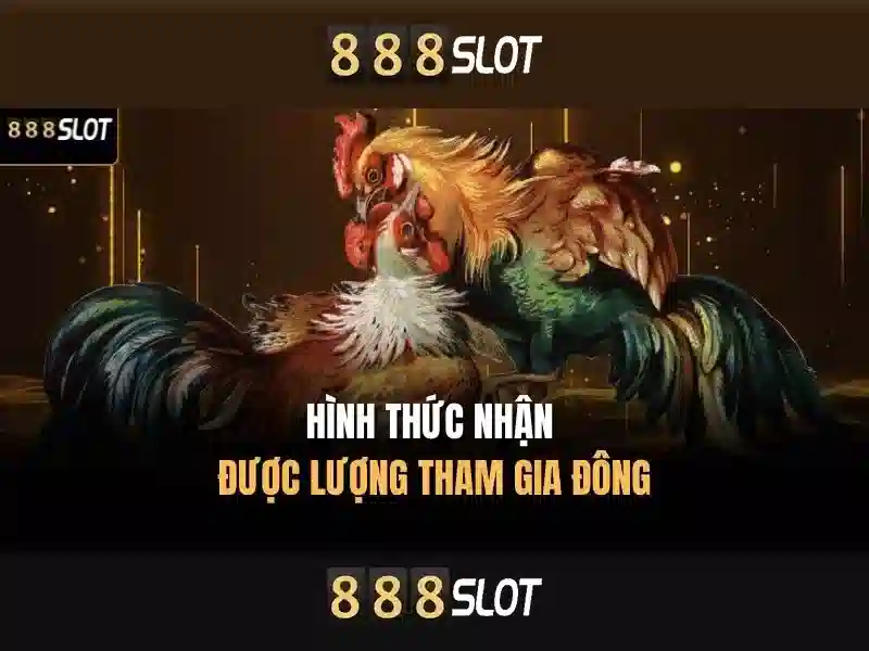 Đảm bảo an toàn cho người chơi