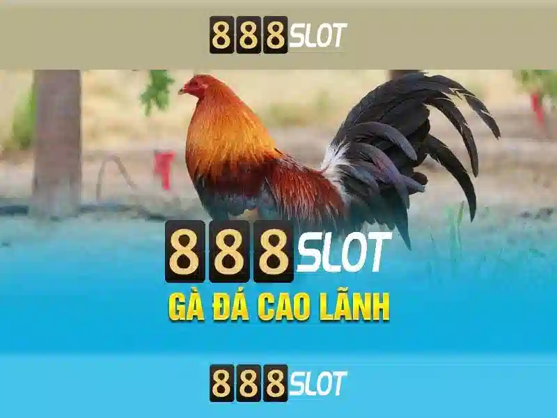 Hướng Dẫn Slot 77