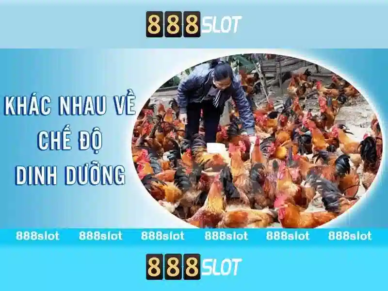 Ưu điểm tải 888slot