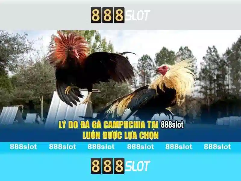 888slot 83 – Trải Nghiệm Slot Đỉnh Cao