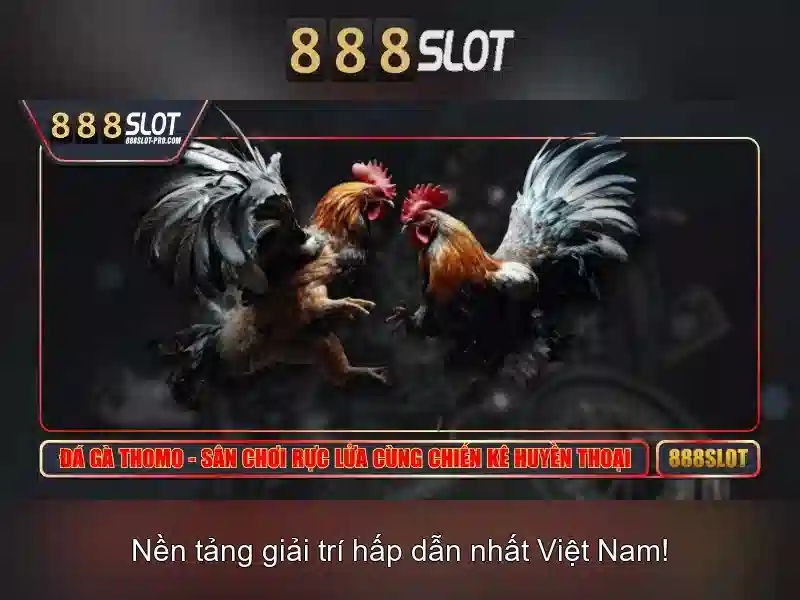 Bảo Vệ An Toàn Dữ Liệu 888SLOT