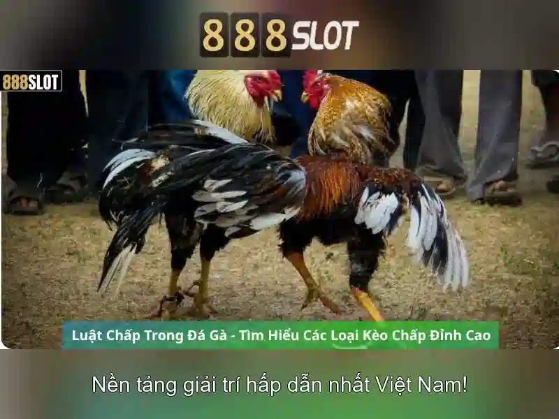 Trải Nghiệm 888 Slot Độc Quyền