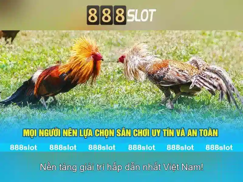Hỗ Trợ 24/7