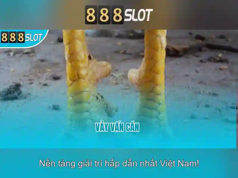 Tính năng nổi bật