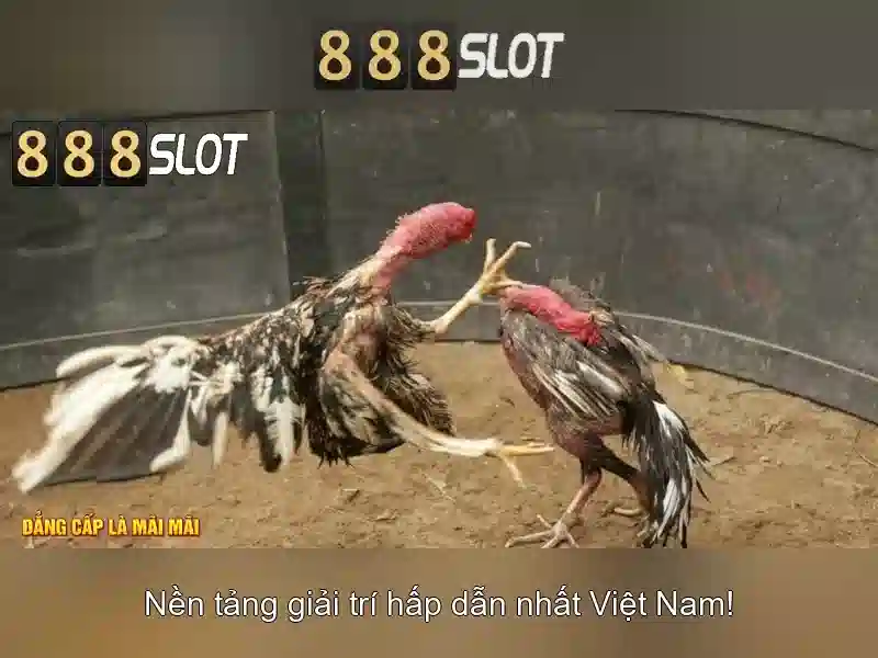 Chương Trình Khuyến Mãi 888SLOT