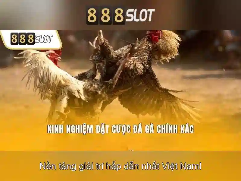 Nền tảng SLOT 888SLOT
