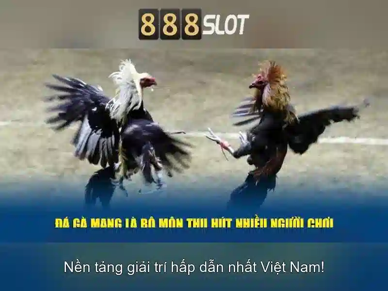 888slot apk ios